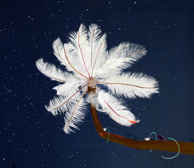 Alex Fischer, Feather Feeder, 2013, 36.4&times;42 inch digital lightjet